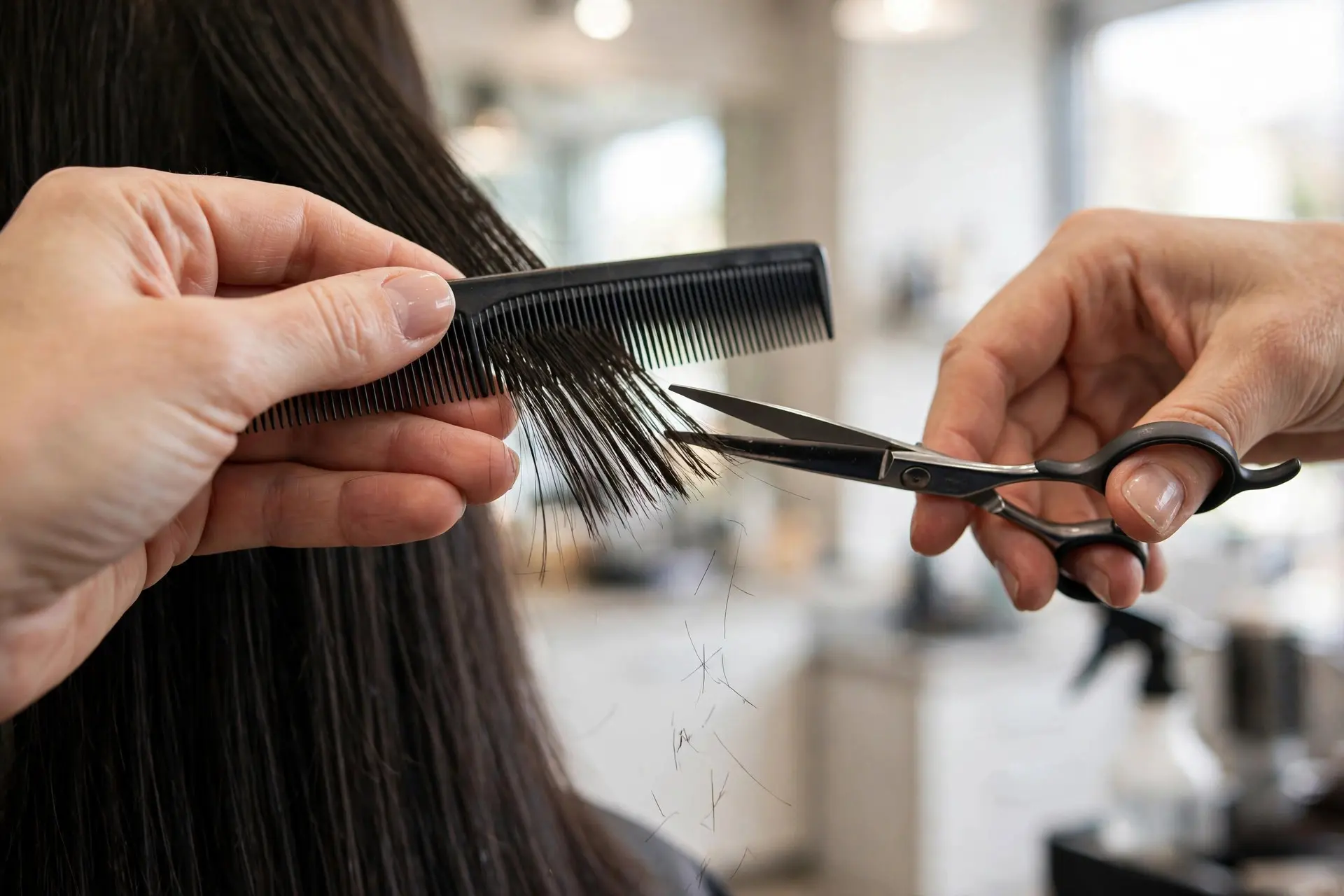 Stylist giving a light dusting trim to the ends of long dark hair with scissors and a comb in a salon